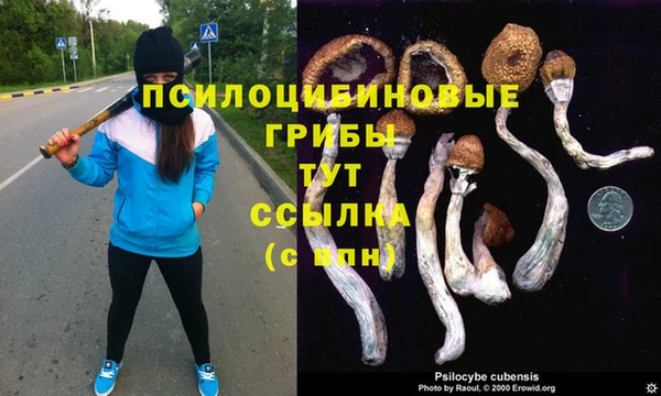 a pvp Заволжск