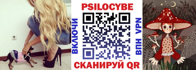 Галлюциногенные грибы Magic Shrooms  Катайск 